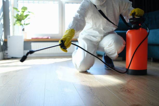 Reliable Odor Removal contractor in Oark, AR by Trauma Clean Pros